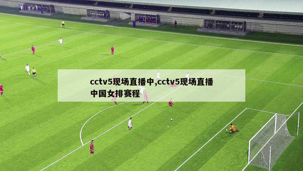 cctv5现场直播中,cctv5现场直播中国女排赛程
